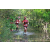 Team 111 / Raid Amazones Cambodge - J6 Trek