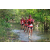 Team 111 / Raid Amazones Cambodge - J6 Trek
