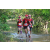 Team 110 / Raid Amazones Cambodge - J6 Trek