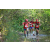 Team 119 / Raid Amazones Cambodge - J6 Trek