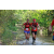 Team 119 / Raid Amazones Cambodge - J6 Trek