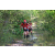 Team 156 / Raid Amazones Cambodge - J6 Trek