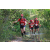 Team 156 / Raid Amazones Cambodge - J6 Trek