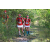Team 140 / Raid Amazones Cambodge - J6 Trek