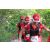 Team 155 / Raid Amazones Cambodge - J6 Trek