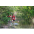 Team 135 / Raid Amazones Cambodge - J6 Trek