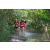 Team 157 / Raid Amazones Cambodge - J6 Trek
