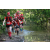 Team 56 / Raid Amazones Cambodge - J6 Trek