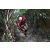 Team 03 / Raid Amazones Cambodge - J6 Trek