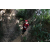 Team 166 / Raid Amazones Cambodge - J6 Trek