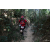 Team 118 / Raid Amazones Cambodge - J6 Trek