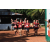 Team 113 / Raid Amazones Cambodge - J6 Trek