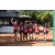 Team 152 / Raid Amazones Cambodge - J6 Trek