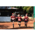 Team 156 / Raid Amazones Cambodge - J6 Trek