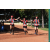 Team 146 / Raid Amazones Cambodge - J6 Trek