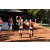Team 07 / Raid Amazones Cambodge - J6 Trek