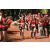 Team 56 / Raid Amazones Cambodge - J6 Trek