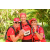 Team 103 / Raid Amazones Cambodge