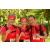 Team 128 / Raid Amazones Cambodge