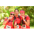 Team 119 / Raid Amazones Cambodge