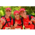 Team 156 / Raid Amazones Cambodge