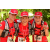 Team 138 / Raid Amazones Cambodge