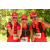Team 155 / Raid Amazones Cambodge