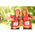 Team 53 / Raid Amazones Cambodge