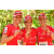 Team 167 / Raid Amazones Cambodge