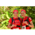 Team 19 / Raid Amazones Cambodge