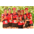 Team 158 / Raid Amazones Cambodge