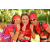 Team 134 / Raid Amazones Cambodge