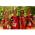 Team 47 / Raid Amazones Cambodge