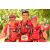 Team 172 / Raid Amazones Cambodge