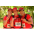 Team 129 / Raid Amazones Cambodge