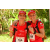 Team 16 / Raid Amazones Cambodge