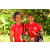 Team 25 / Raid Amazones Cambodge