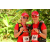 Team 28 / Raid Amazones Cambodge