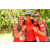 Team 37 / Raid Amazones Cambodge