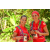 Team 46 / Raid Amazones Cambodge