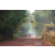Raid Amazones Cambodge - J6 Trek Ambiance
