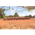 Raid Amazones Cambodge - J6 Trek