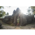 Team 29 / Raid Amazones Cambodge 2018 - J1 Trek