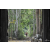 Raid Amazones Cambodge 2018 - J1 Trek