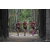 Team 149 / Raid Amazones Cambodge 2018 - J1 Trek