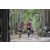 Team 08 / Raid Amazones Cambodge 2018 - J1 Trek