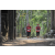 Team 26 / Raid Amazones Cambodge 2018 - J1 Trek