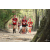 Team 13 / Raid Amazones Cambodge 2018 - J1 Trek