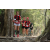 Team 110 / Raid Amazones Cambodge 2018 - J1 Trek
