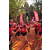 Team 14 / Raid Amazones Cambodge 2018 - J1 Trek